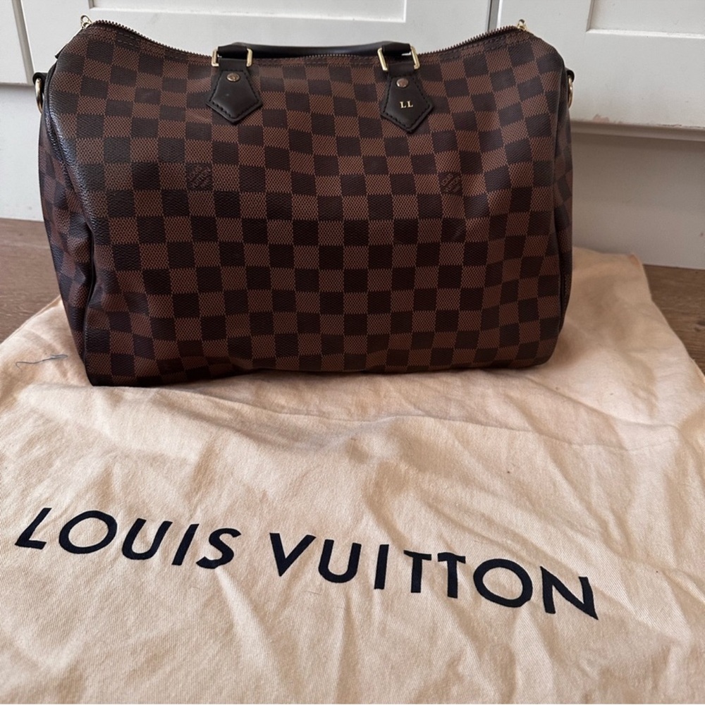 Louis Vuitton Damier Ebene Canvas Bag